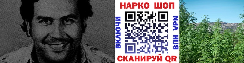 Купить наркотик Кемь ГАШИШ  Конопля  Alpha PVP  Меф мяу мяу 