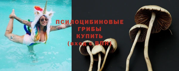 ГАЛЛЮЦИНОГЕННЫЕ ГРИБЫ Армянск